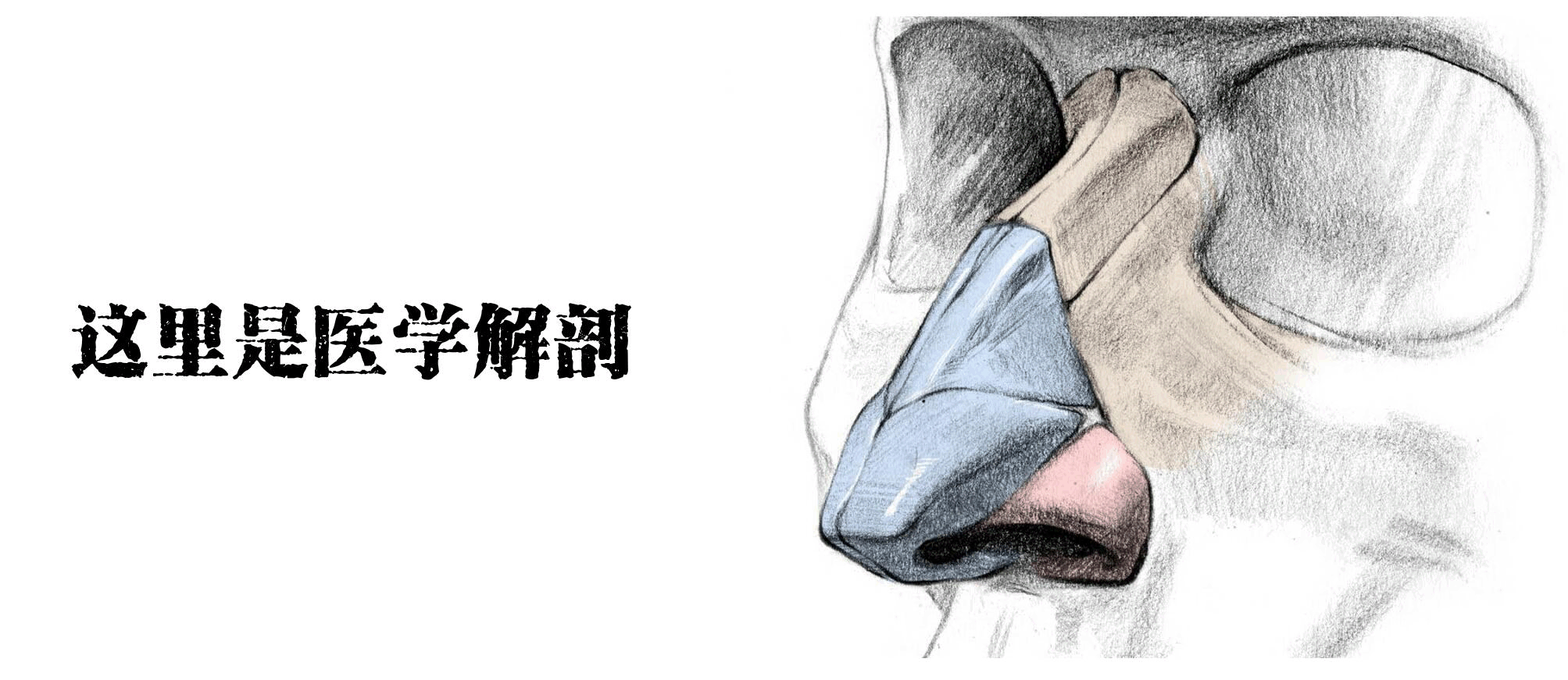 醫學生的考試到底有多難？看把學生都逼成啥樣了