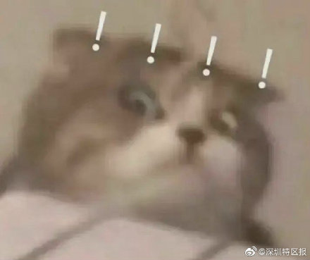 一學校家委會被投訴收班費向教師送禮，部門：未發現違規