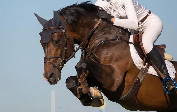 2021年北京馬協青少年馬術巡回賽第五站