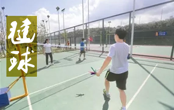 2019年北京市中小學生毽球比賽