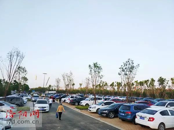 體育公園停車區