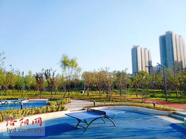 體育公園乒乓球區