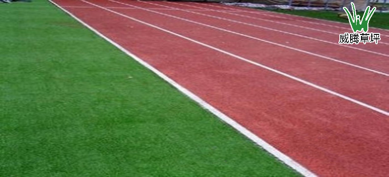人工草坪操場(chǎng)及<a href=http://m.cnzcn.net.cn target=_blank class=infotextkey>塑膠跑道</a>