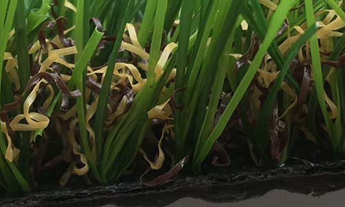 人造草坪分特數,人造草坪旦數,人造草皮指標分特