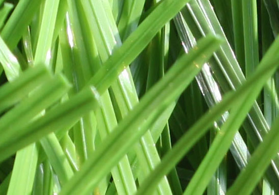 人造草坪,羽毛球場人造草皮,假草坪清理