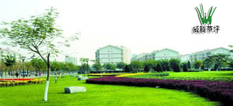 人造草坪小區綠化