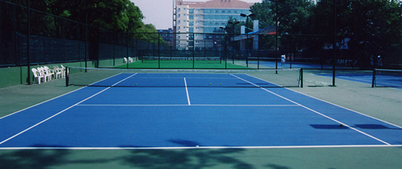 <a href=http://m.cnzcn.net.cn target=_blank class=infotextkey>丙烯酸</a>球場廠家