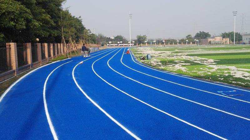 <a href=http://m.cnzcn.net.cn target=_blank class=infotextkey>塑膠跑道</a>