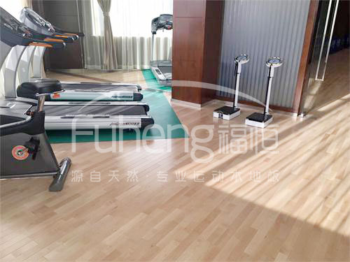 <a href=http://m.cnzcn.net.cn target=_blank class=infotextkey>健身</a>房木地板-10fd