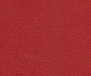 專業型·祥云紋（紅）