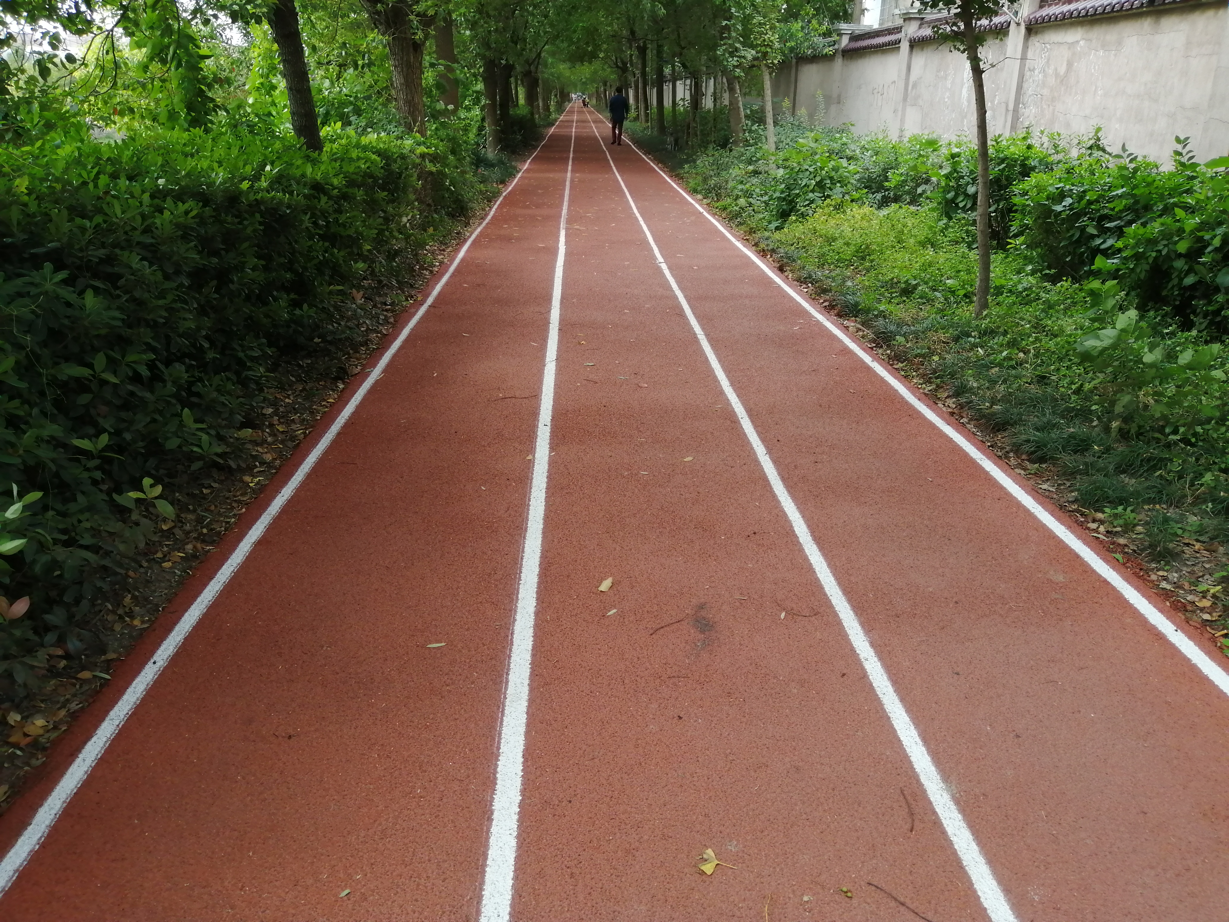 新虹村瞿家宅健身點