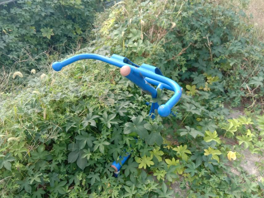 背肌訓練器 背肌訓練器