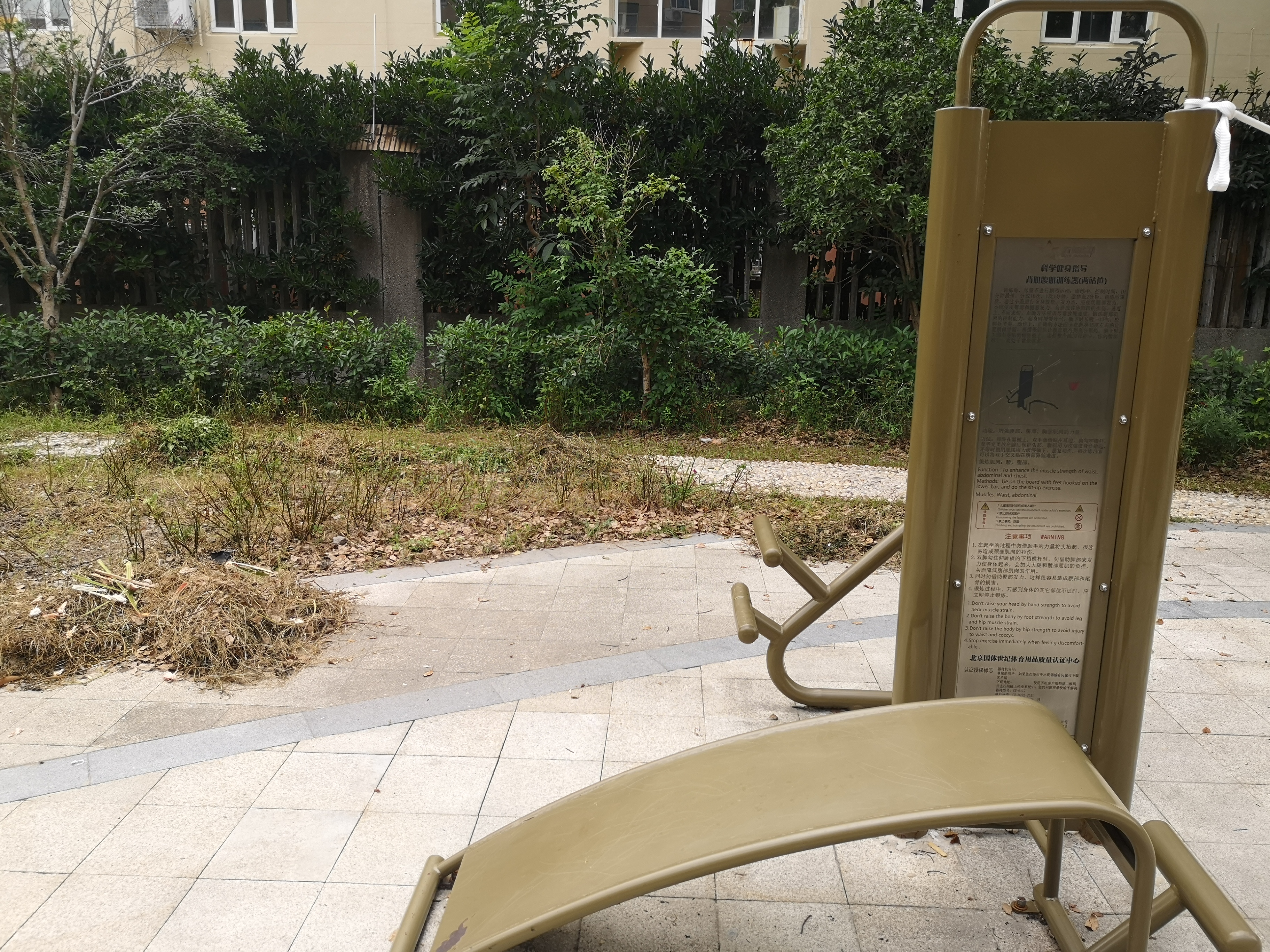 背肌腹肌訓練器（兩站位）