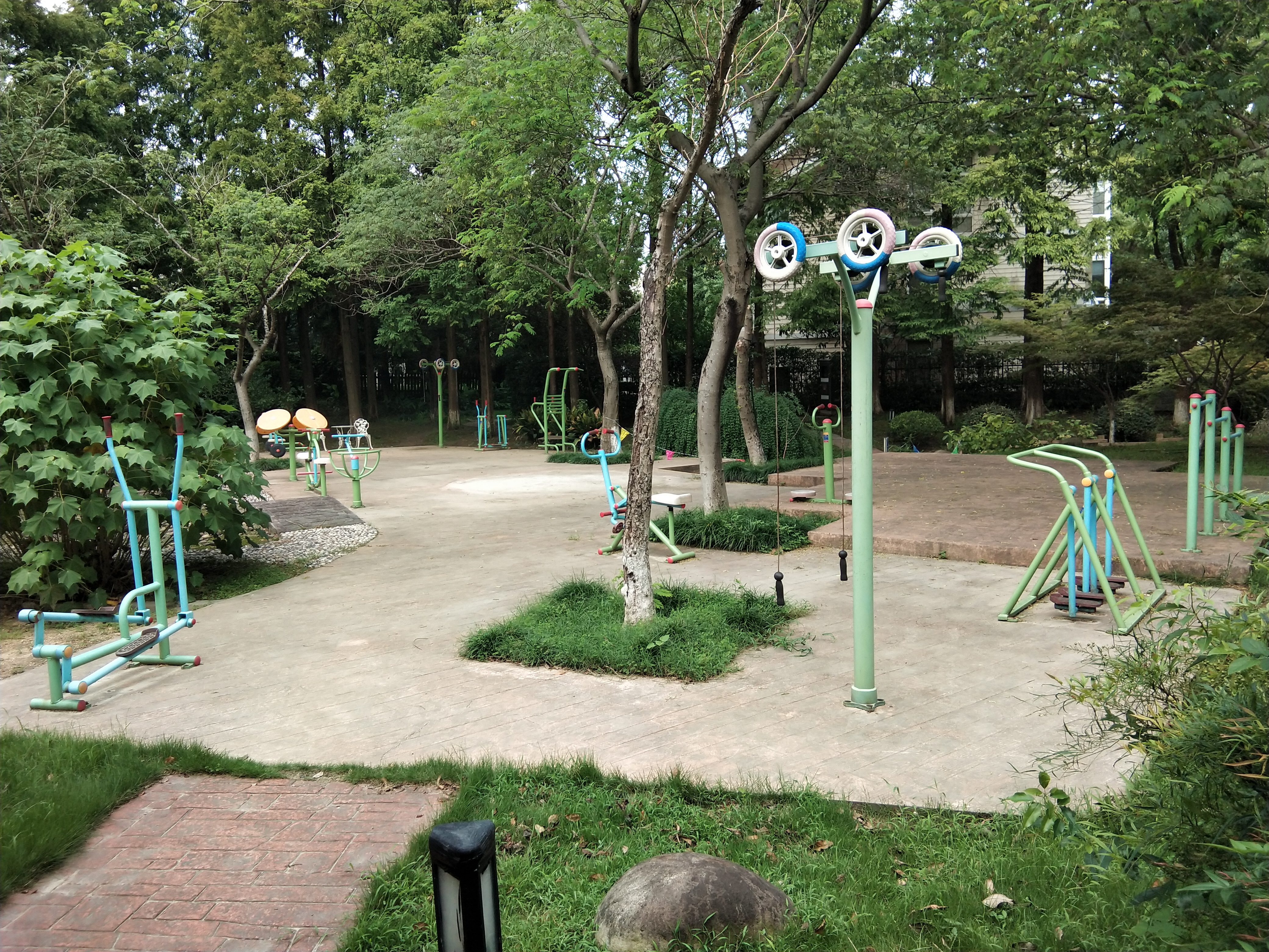 顓橋鎮櫻緣居委健身點