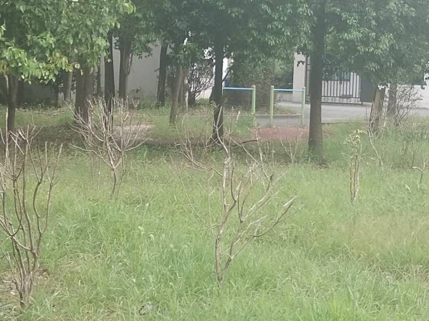 沈家橋村健身點