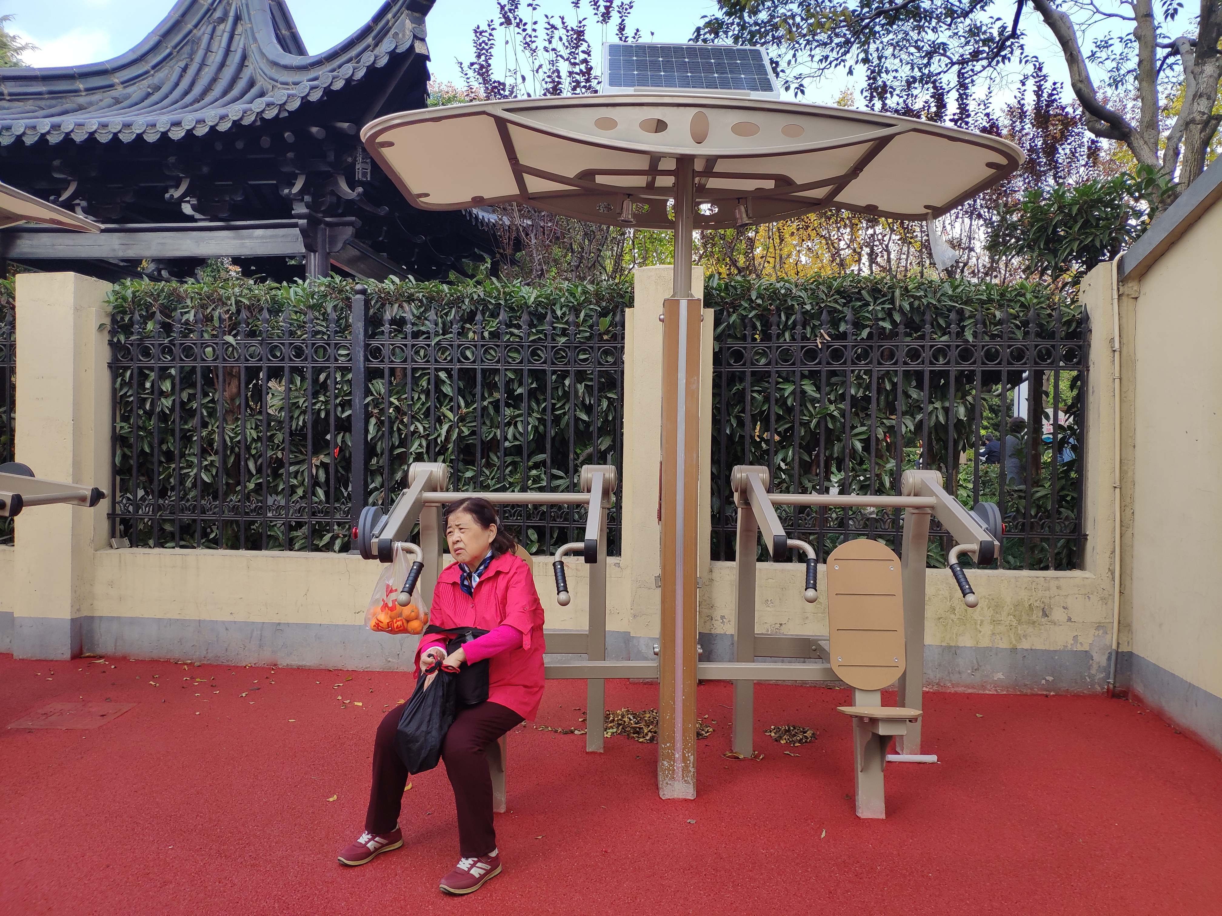 雙位推舉訓(xùn)練器 雙位推舉訓(xùn)練器