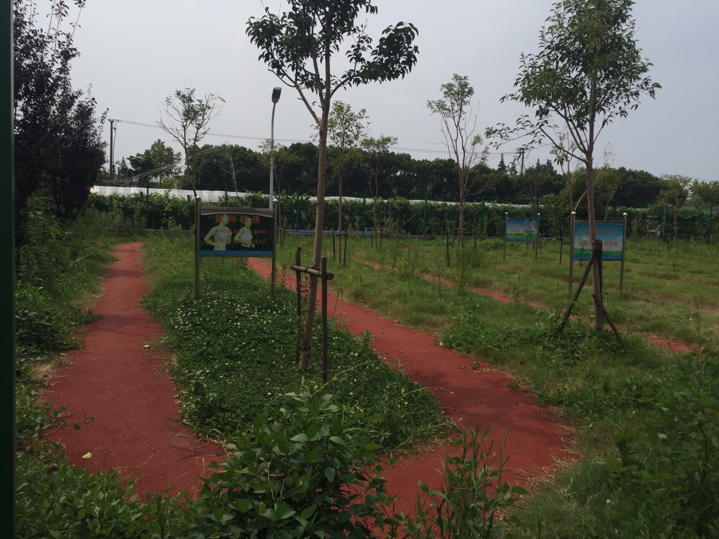 金呂村東王組市民健身步道