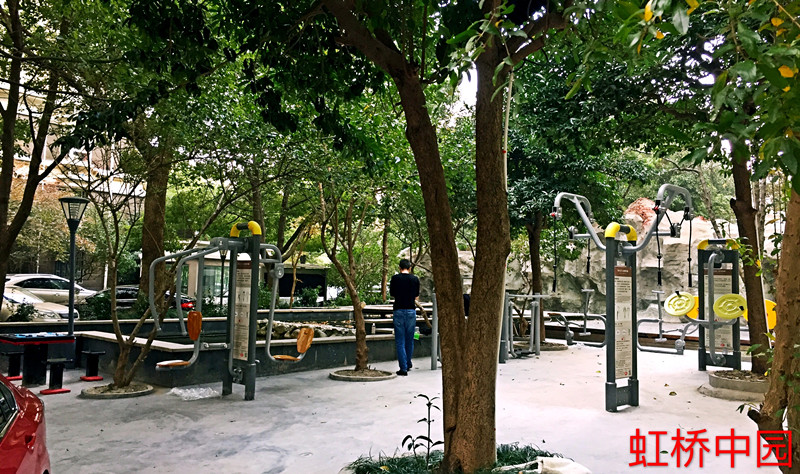 王滿虹橋中園益智健身點