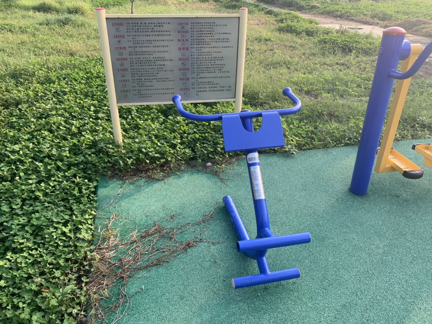 背肌/腹肌訓練器