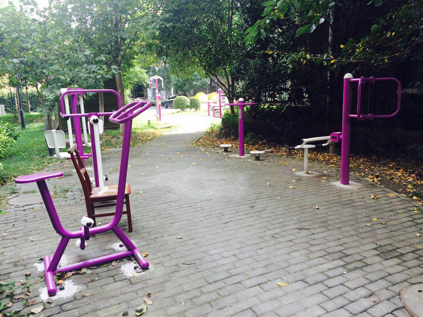 顓橋鎮楓澤苑健身點B