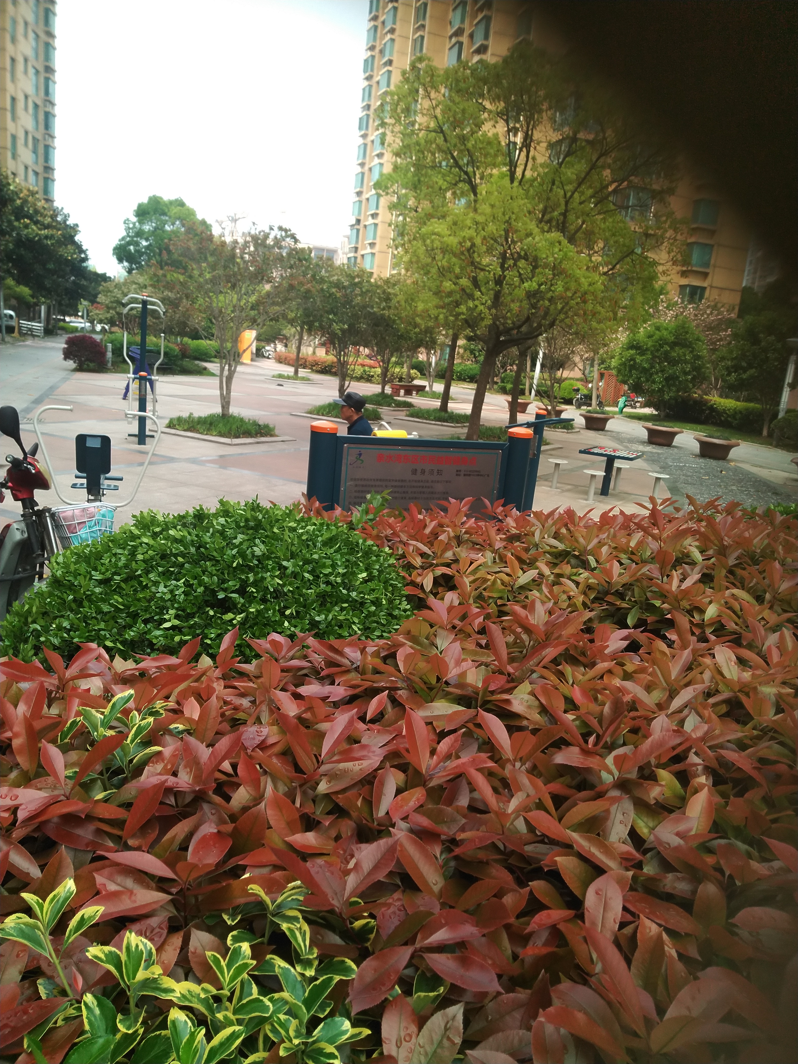 清水灣東區市民益智健身點