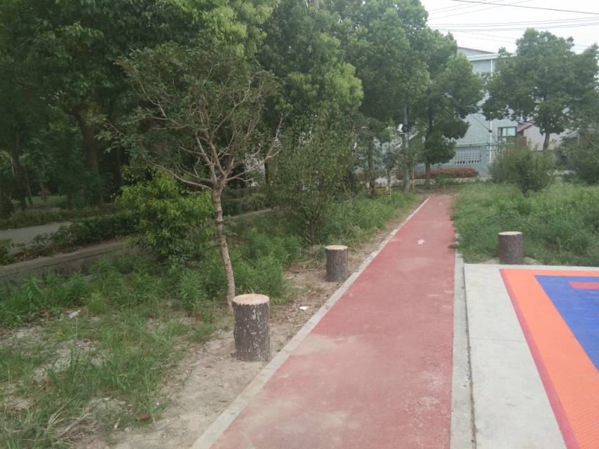 公共運動場 公共運動場