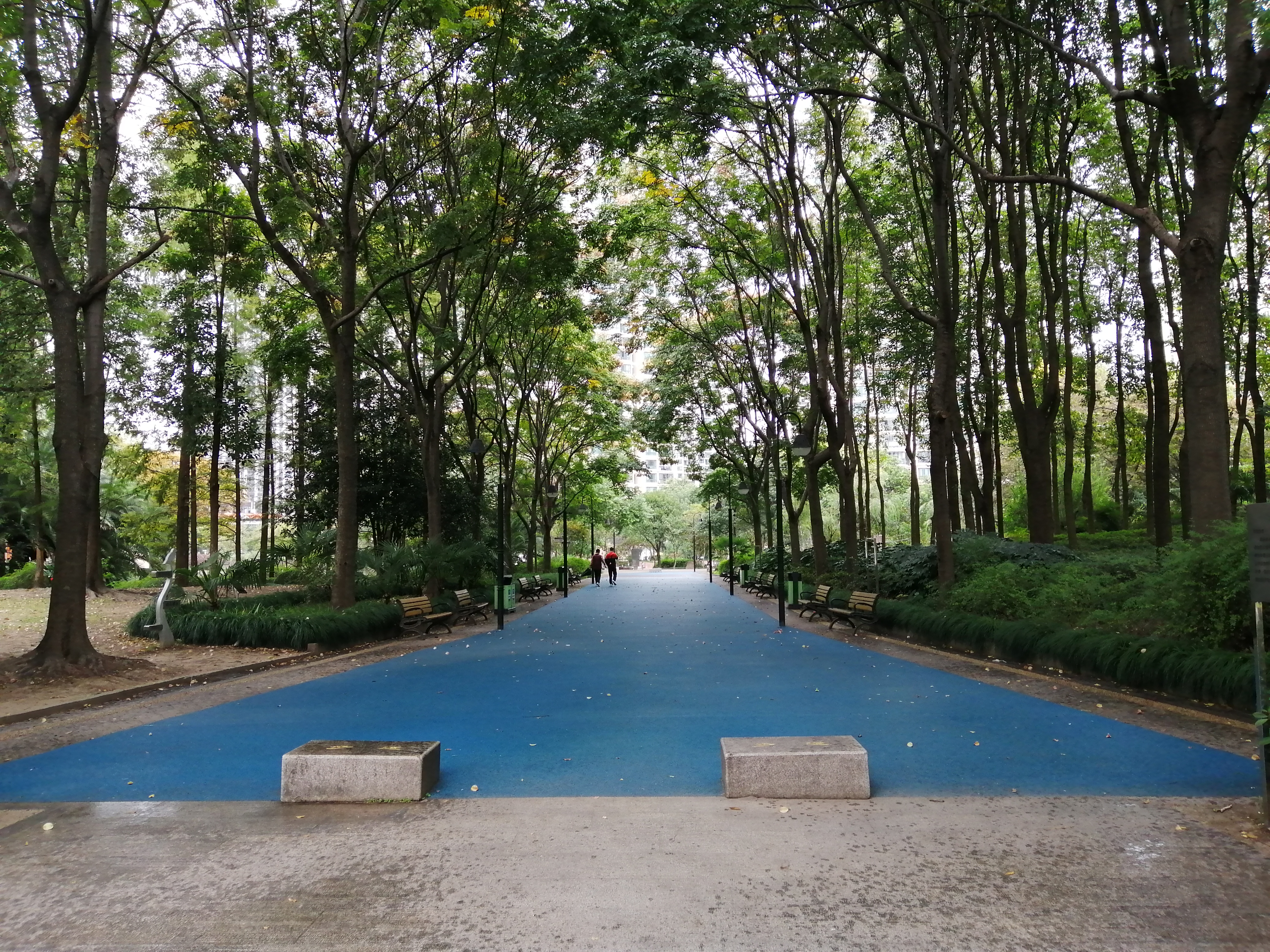 夢清園市民健身步道