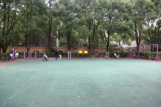 顓橋鎮(zhèn)銀都三居委健身點