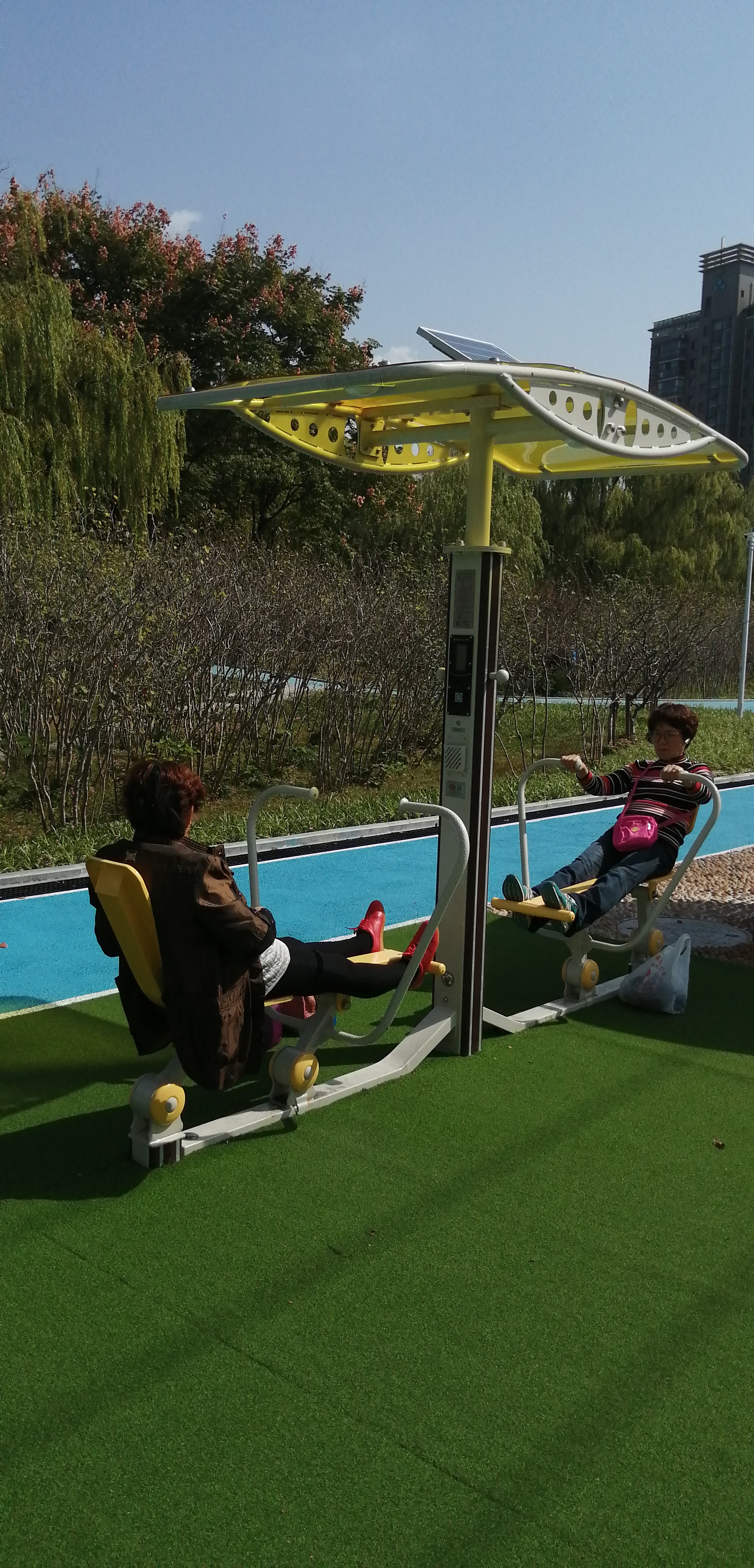 雙位智能劃船器