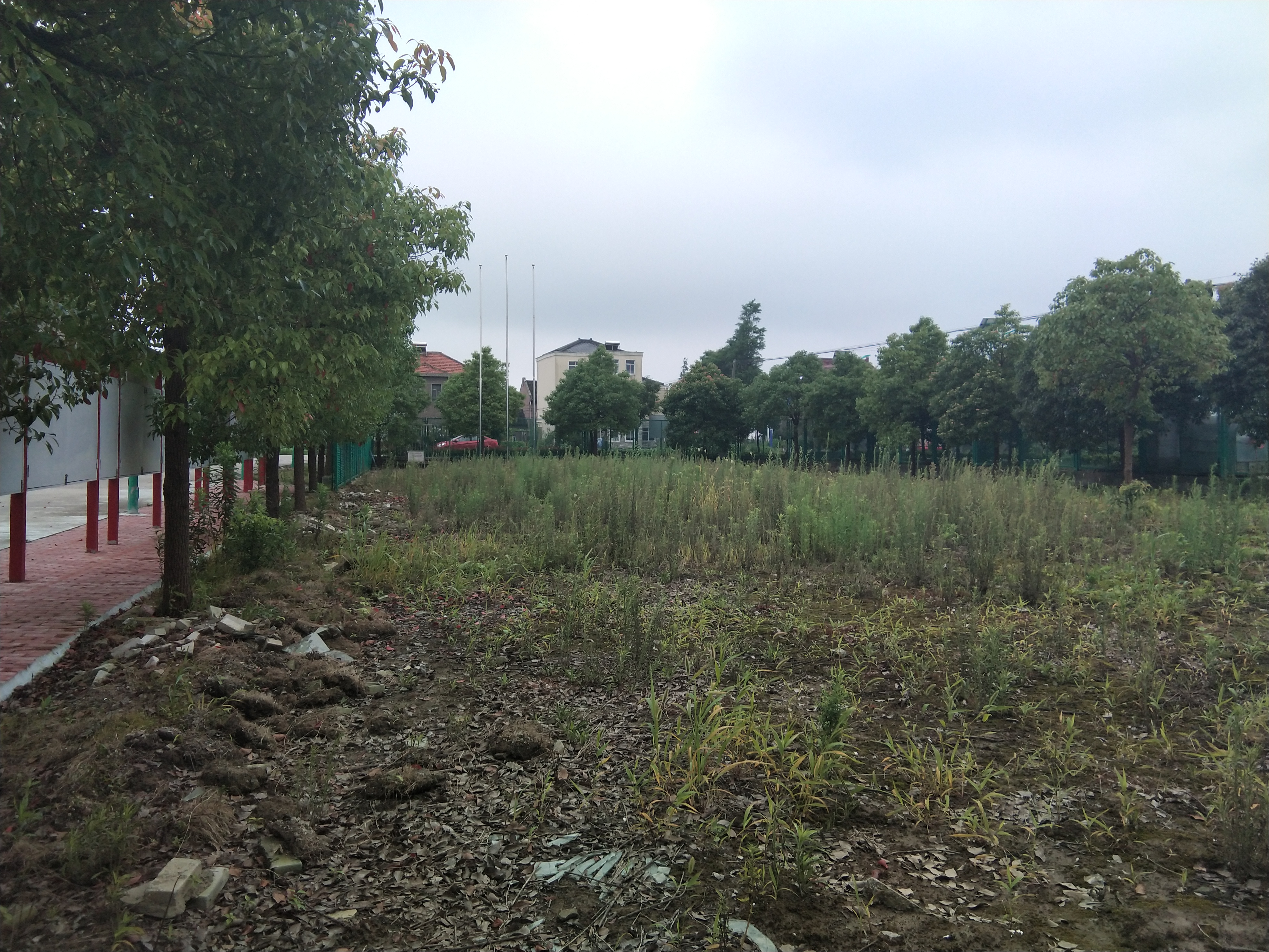 奉城鎮分水墩村百姓健身步道