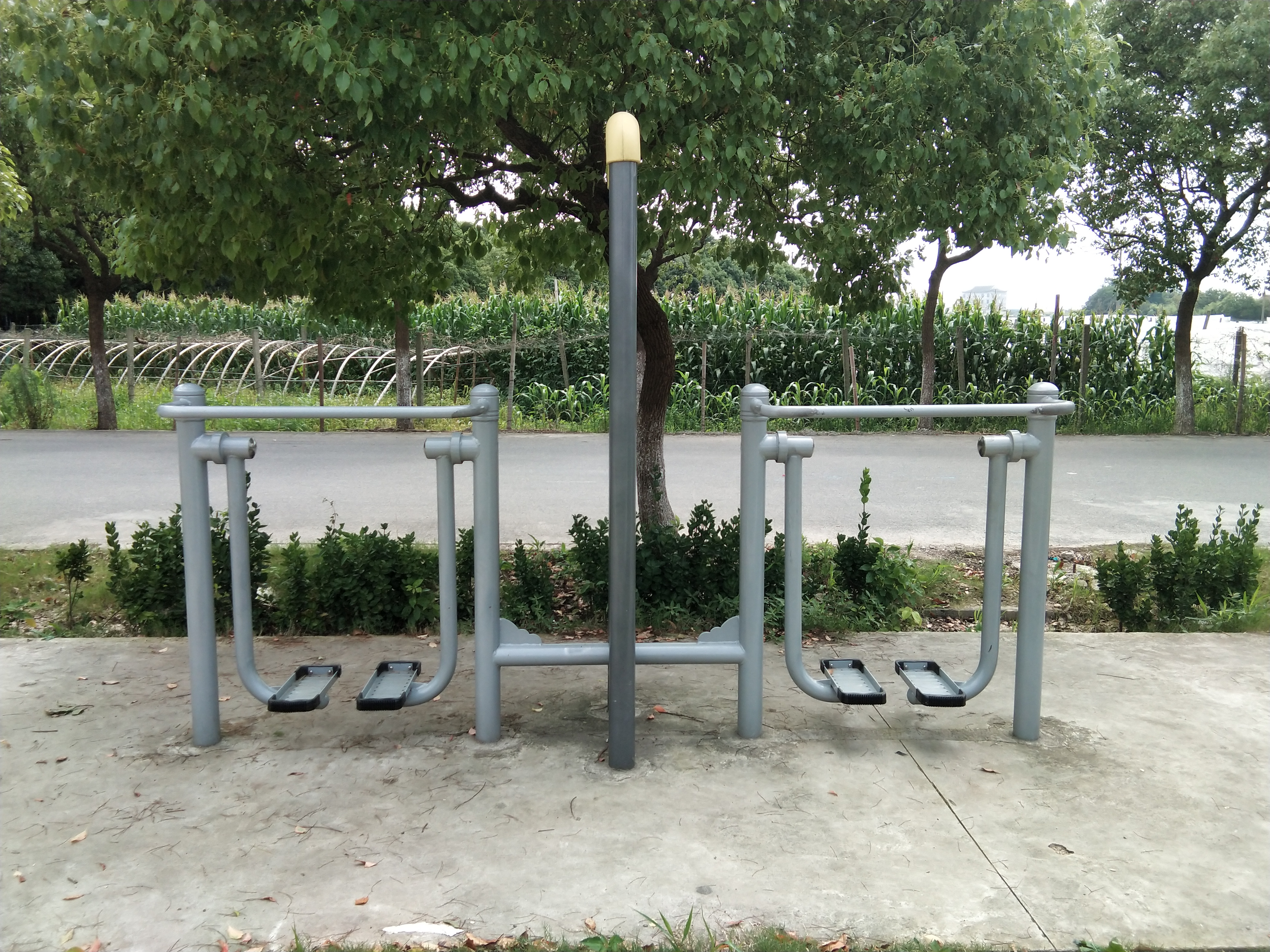 雙位太空漫步機