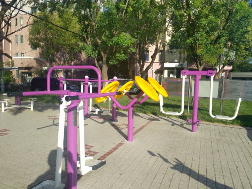 閔行區華漕鎮紫薇新村南健身點