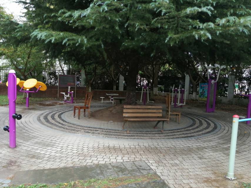 閔行區華漕鎮諸新路居委九方家園市民益智健身點