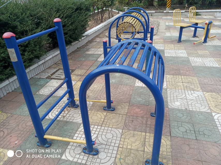 腰背伸展訓練器