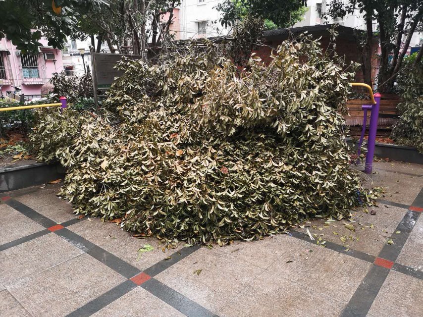 五四中港二村綠地健身點(diǎn)