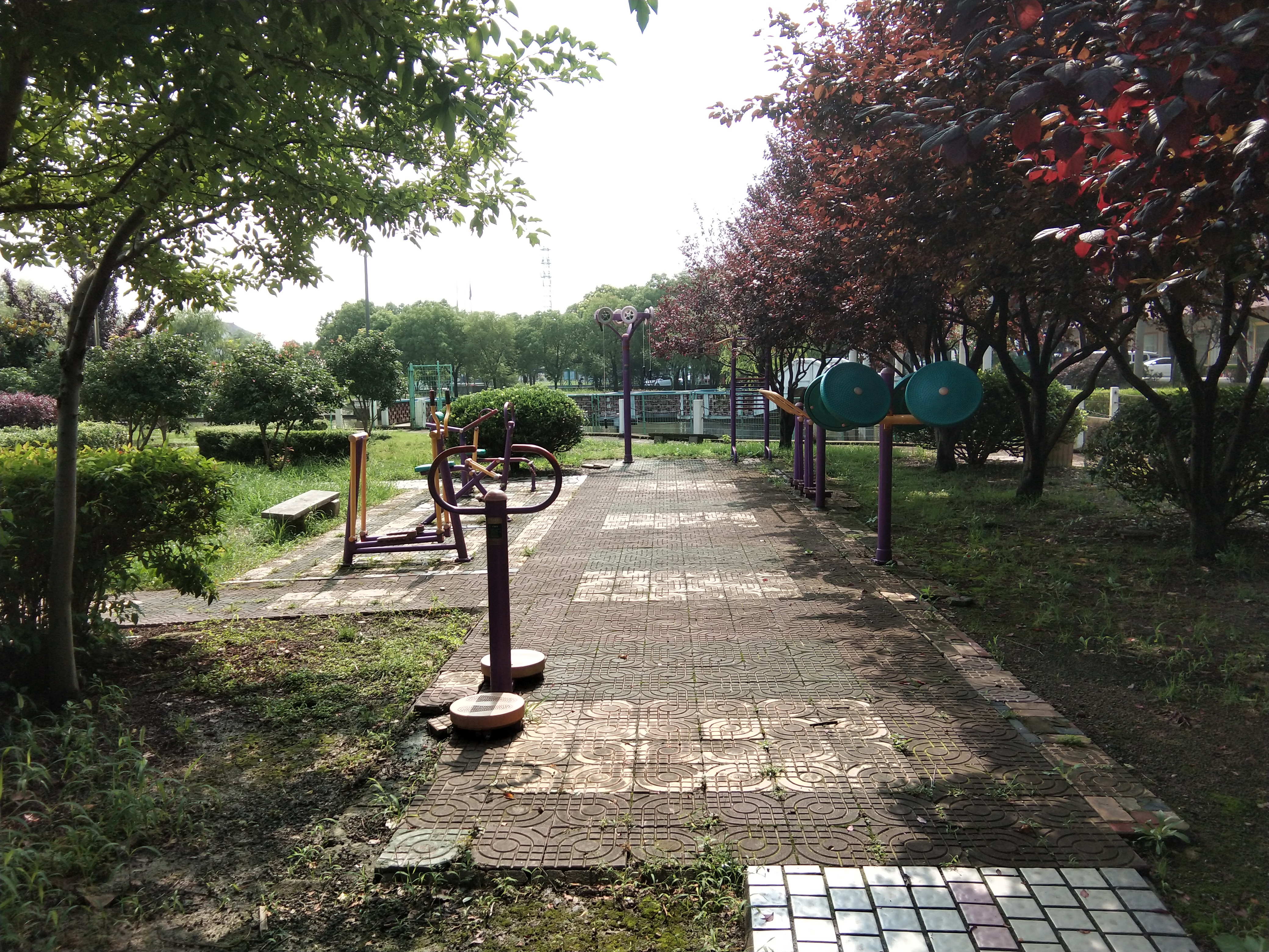 奉城鎮東新市村市民益智健身苑點