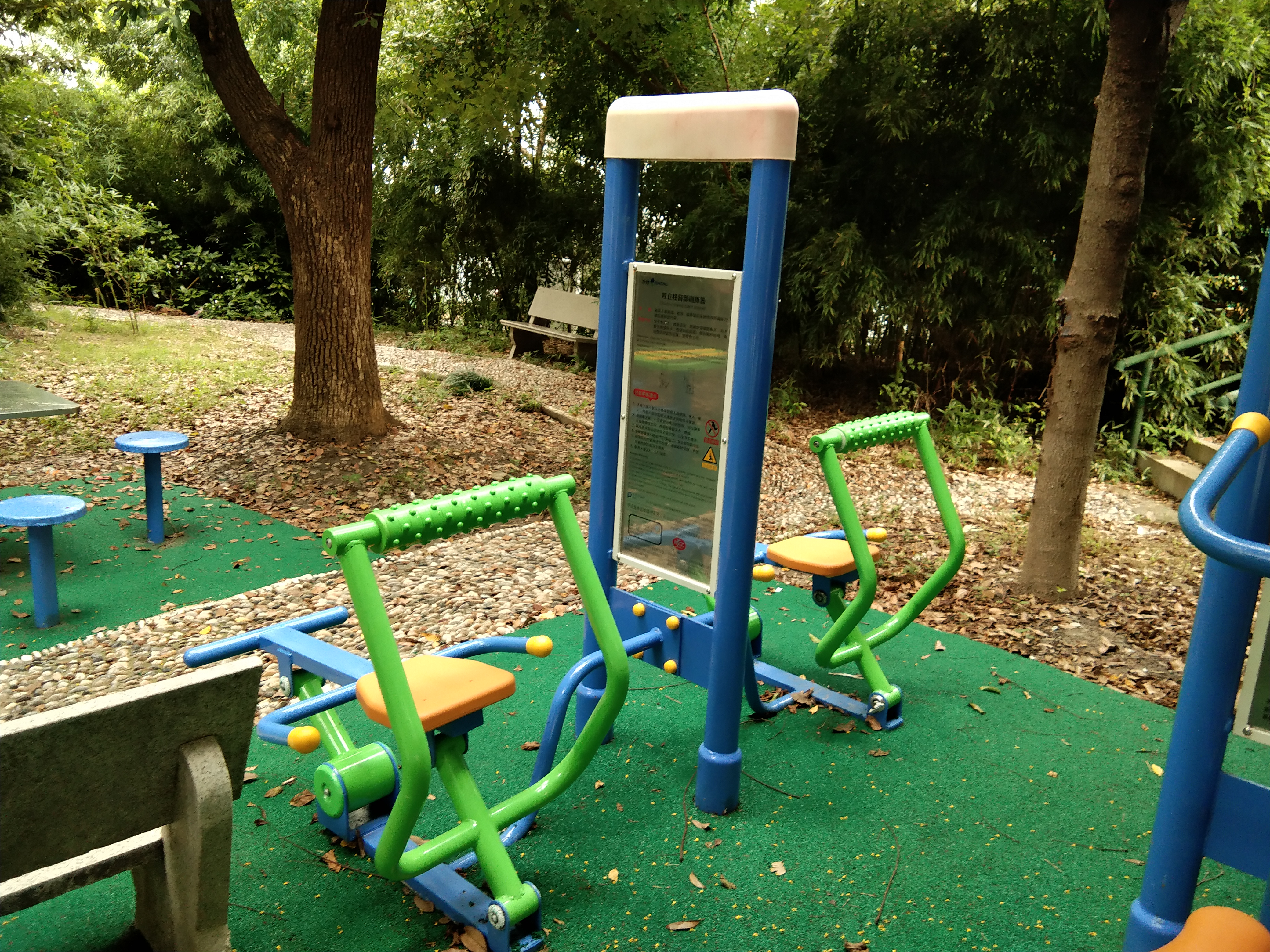 雙立柱背部訓練器