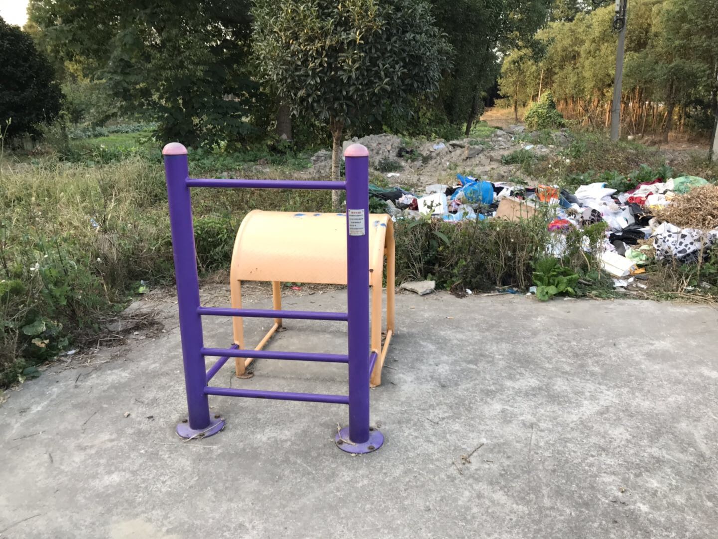 腰背伸展器 腰背伸展器