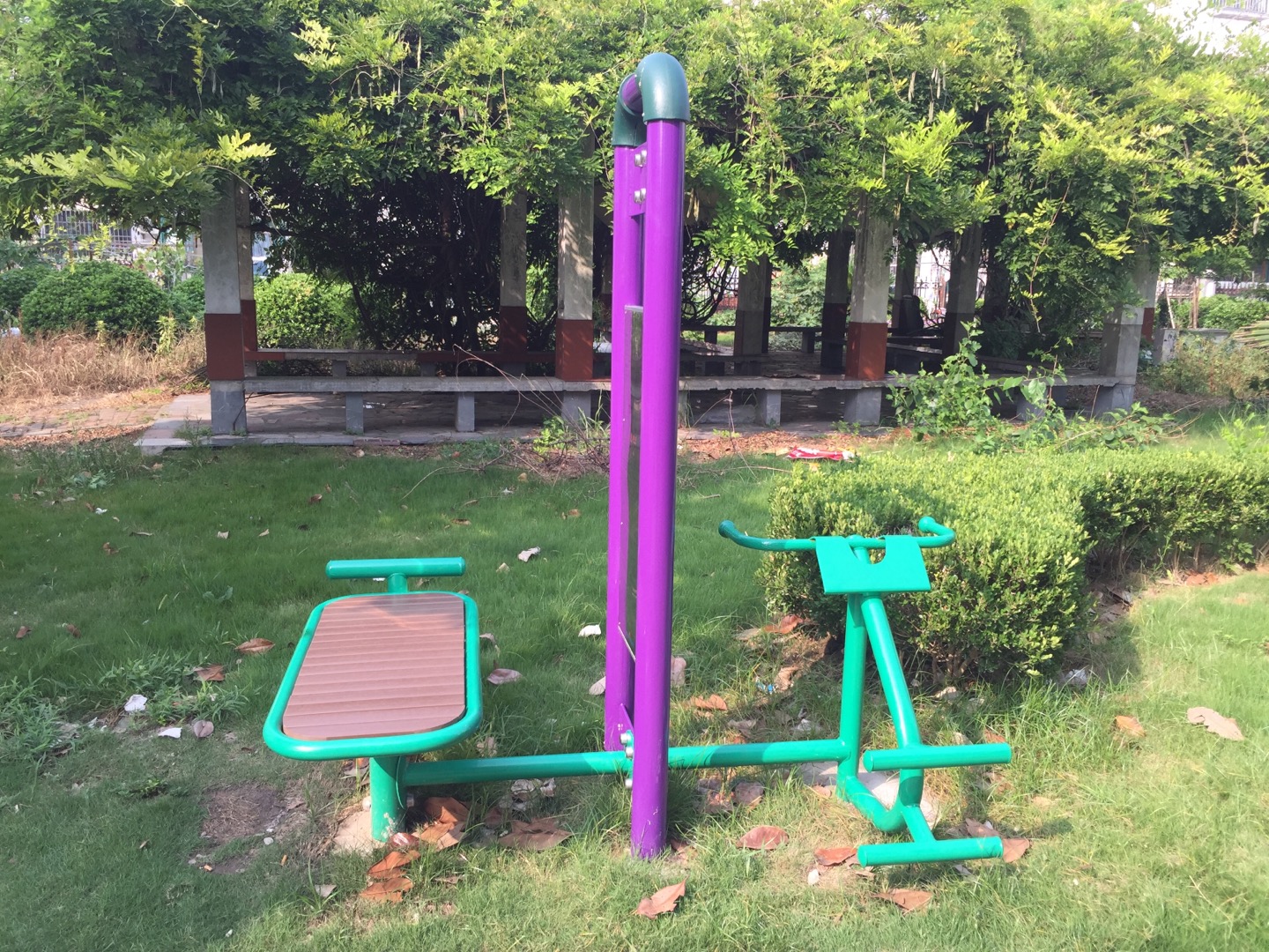 背肌/腹肌訓練器