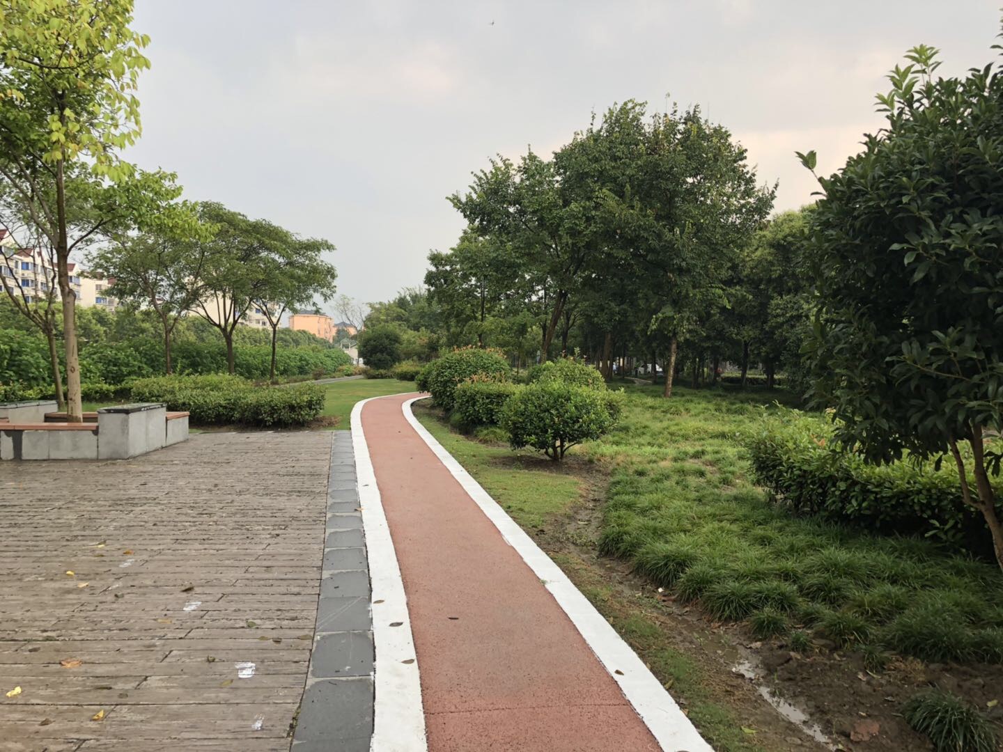 馬橋鎮馬橋居委百姓健身步道