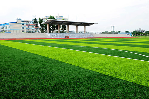 廣州中醫藥大學