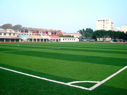 廣東外語外貿大學