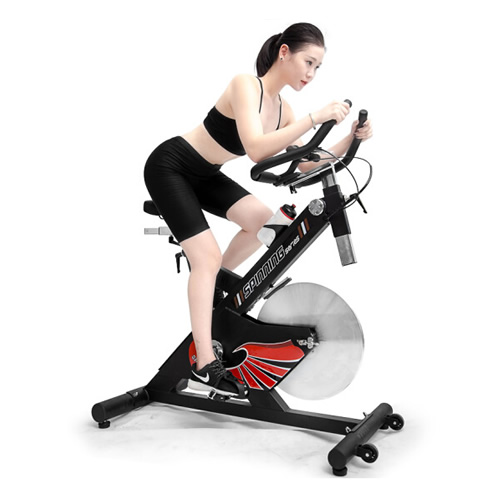 雷克P40800家用動感單車圖1