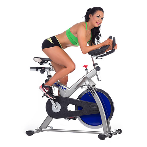 SUNNY SF-A4100動感單車圖1