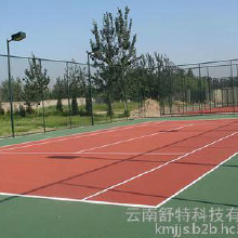 丙烯酸籃球場   環保型丙烯酸羽毛球場  硬地丙烯酸排球場 塑膠籃球場