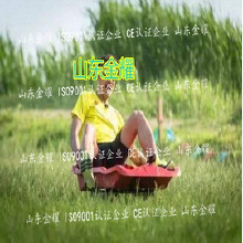 北京利達環保無毒丙烯酸球場材環保 體育設施材料 硅pu球場塑膠跑道老人院健身體育器材 體育游樂設施 體育健身器材供應商